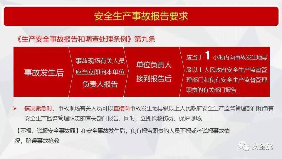 2025-2024全年澳门与香港中奖记录,全面释义解释落实