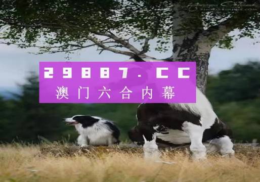 澳门今晚开特马四不像图,精选解释解析落实