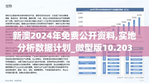 新澳2024,2025正版资料免费公开,现状分析解释落实