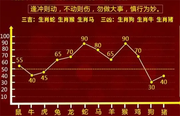 一肖一码一必中一肖,构建解答解释落实