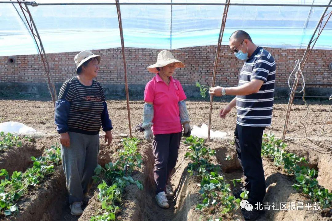 草莓美味营养，适合宝宝食用吗？——关于7个月宝宝能否吃草莓的探讨