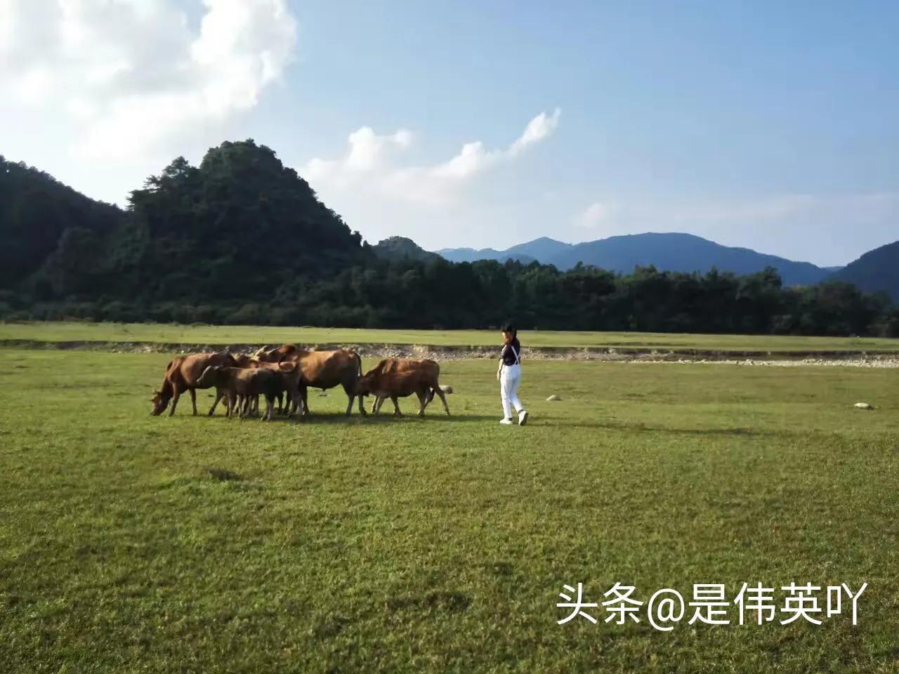 广东省的大草原，自然之美与人文之韵的交融