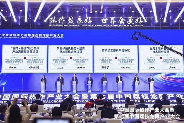 广东侨枫有限公司深度解析，一家全方位发展的优秀企业