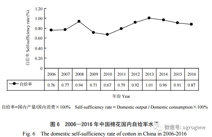 广东省佛山市的代码世界，历史、现状和未来展望