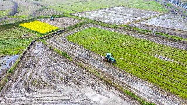 广东省补充耕地后续管护，保障粮食安全与土地可持续发展的重要举措