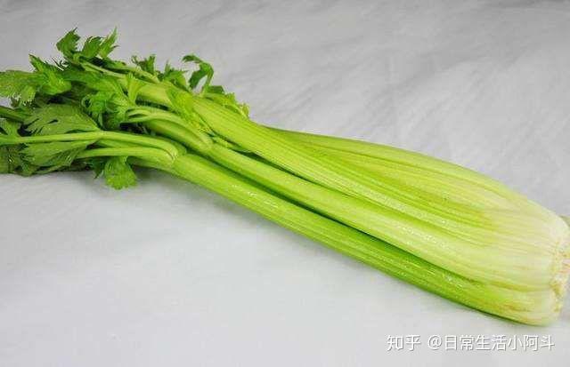 11个月宝宝可以吃芹菜吗？营养专家告诉你答案