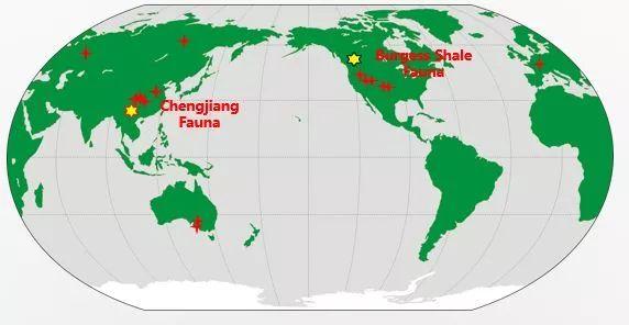 广东宝库生物有限公司，探索生物科技前沿的先锋企业