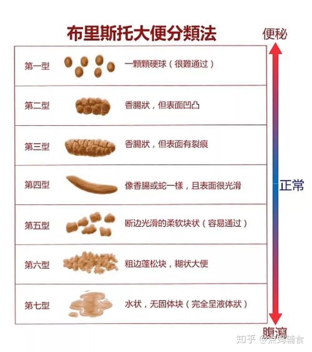 关于11个月宝宝大便干的探讨