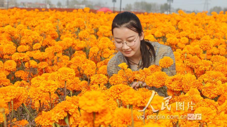 江苏元素信息科技，引领科技创新的先锋力量