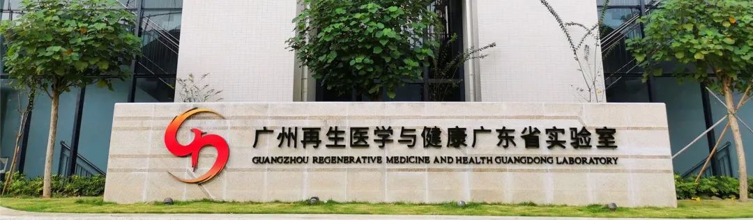 广东再生医学有限公司，引领再生医学领域的新篇章